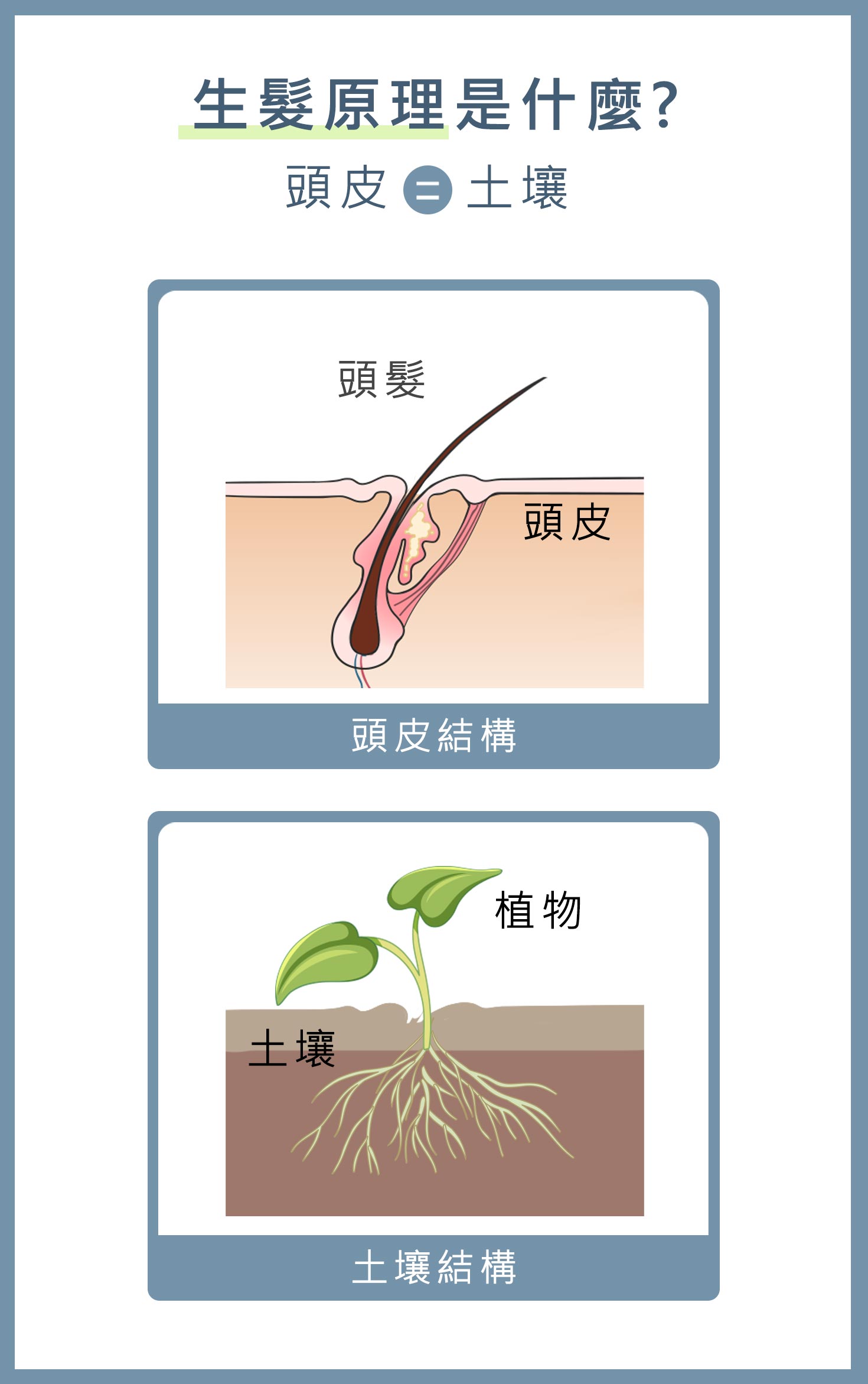 生髮-生髮原理是什麼-HH醫髮診所